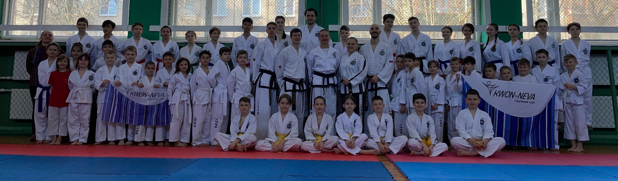 Taekwondo Blue Belt